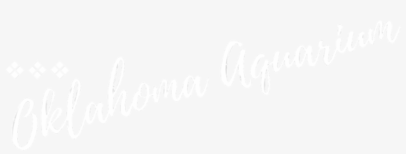 Explore Tulsa Near The Campbell Luxury Hotel - Calligraphy, transparent png download