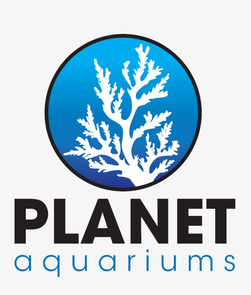 Noddy Toyland Detective Logo, transparent png download