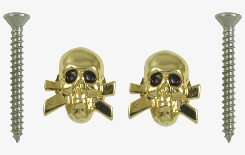 Grover, Skull Shape - Skull, transparent png download