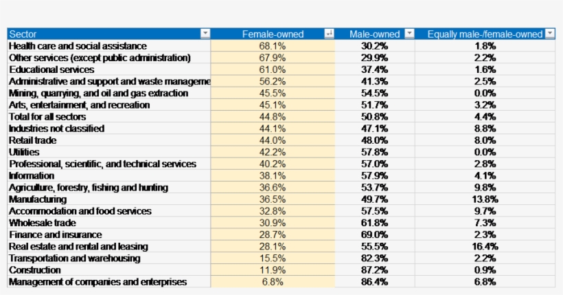 Business Ownership By Gender And Sector - Many Types Of Business, transparent png download
