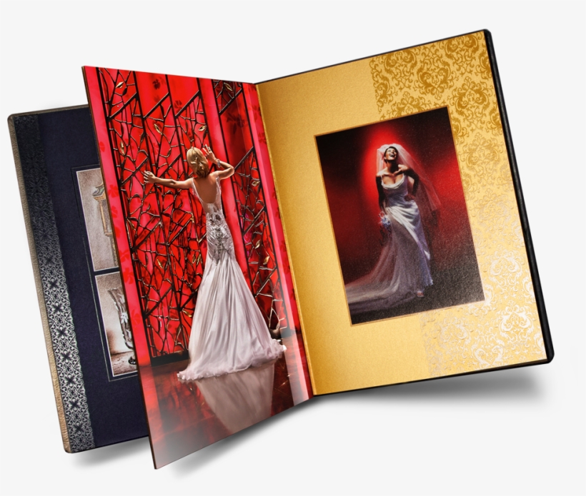 Aesthetics - Album Hd Image Png, transparent png download