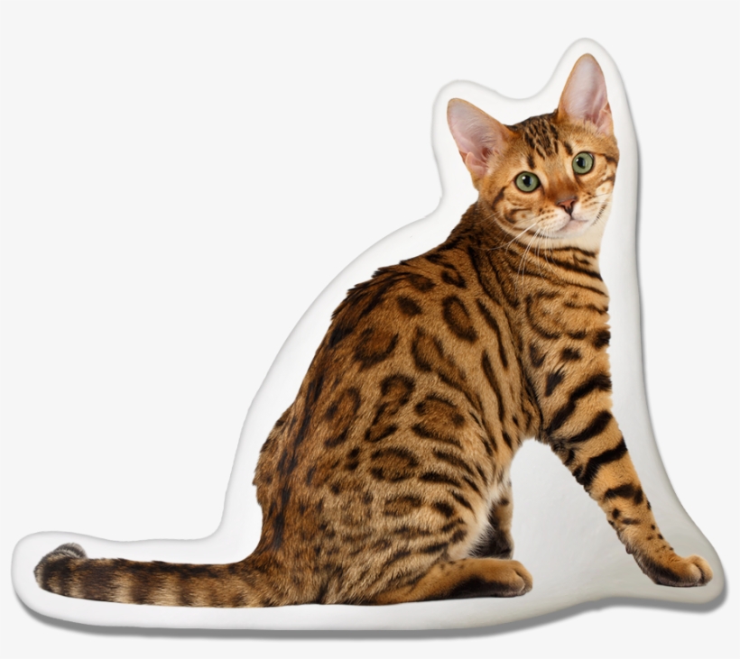 Cheetoh Pillow Pawjoy - Toyger Cat, transparent png download