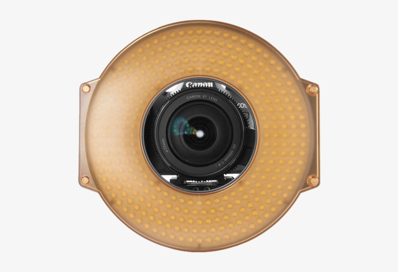 £40 Day / £160 Week, transparent png download