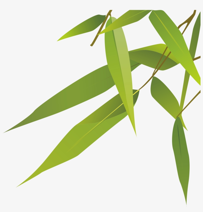 Botanical Vector Plant - Epidendrum, transparent png download