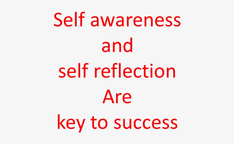 Self Awareness And Self Reflection Key To Success - Types Of Customers In Retail Banking, transparent png download