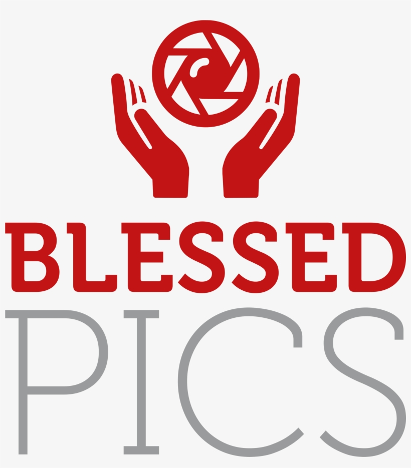 Logo Transparent Background - Illustration, transparent png download