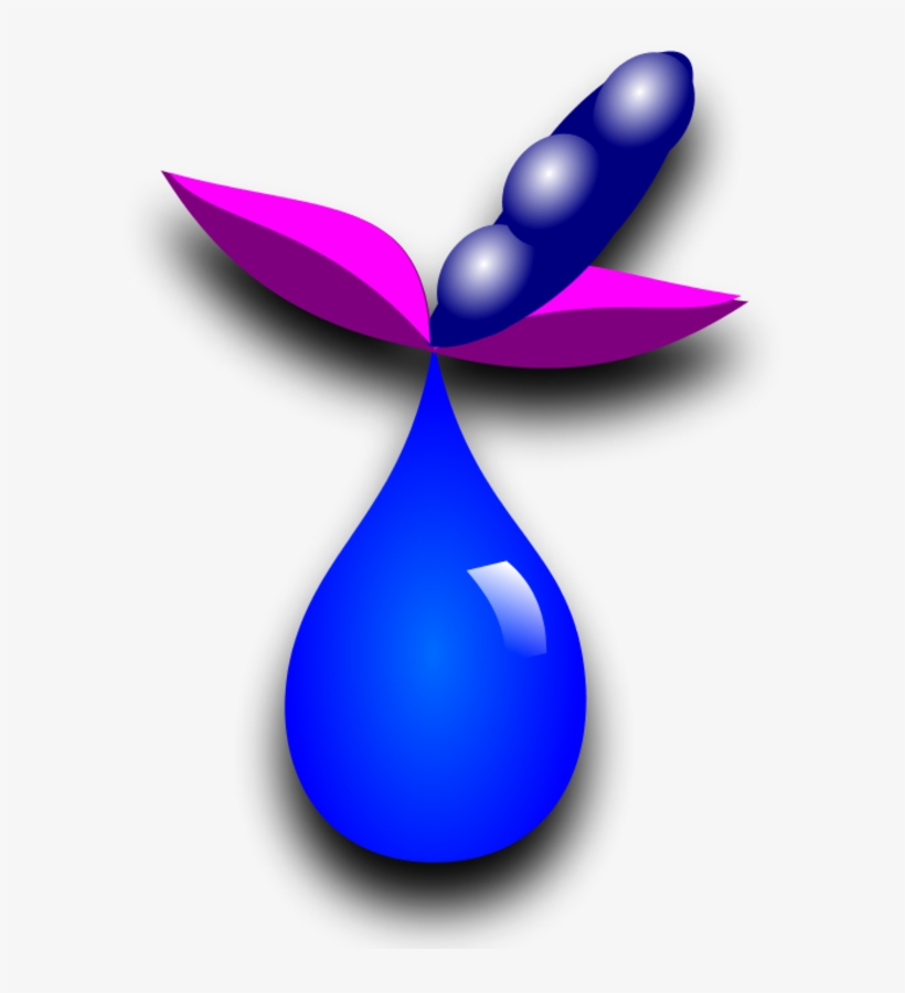 Drop Liquid Plant, transparent png download
