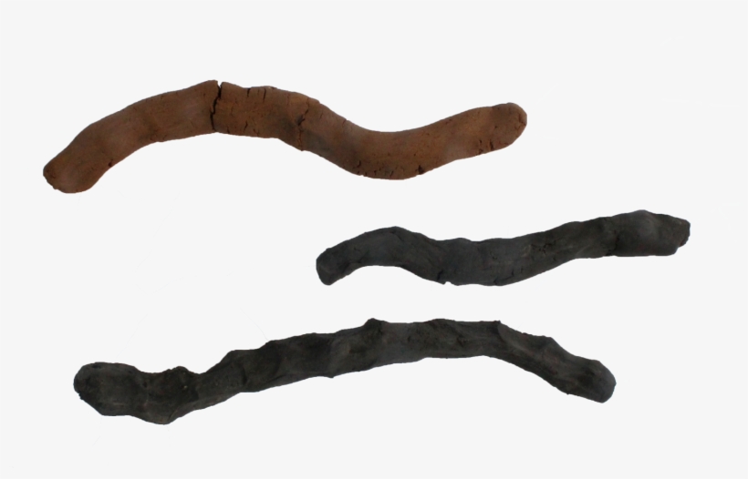 Mud - Wood, transparent png download