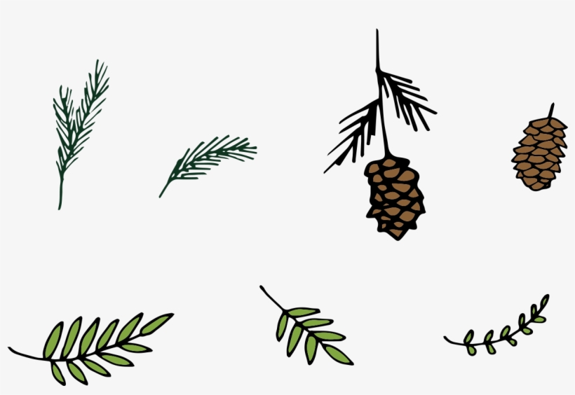 1200 X 1200 5 - Pine Leaves Frame Free Download, transparent png download