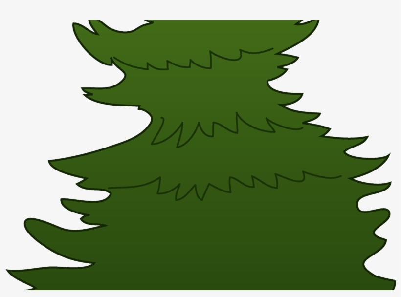 Evergreen Vector Free Download On Melbournechapter, transparent png download
