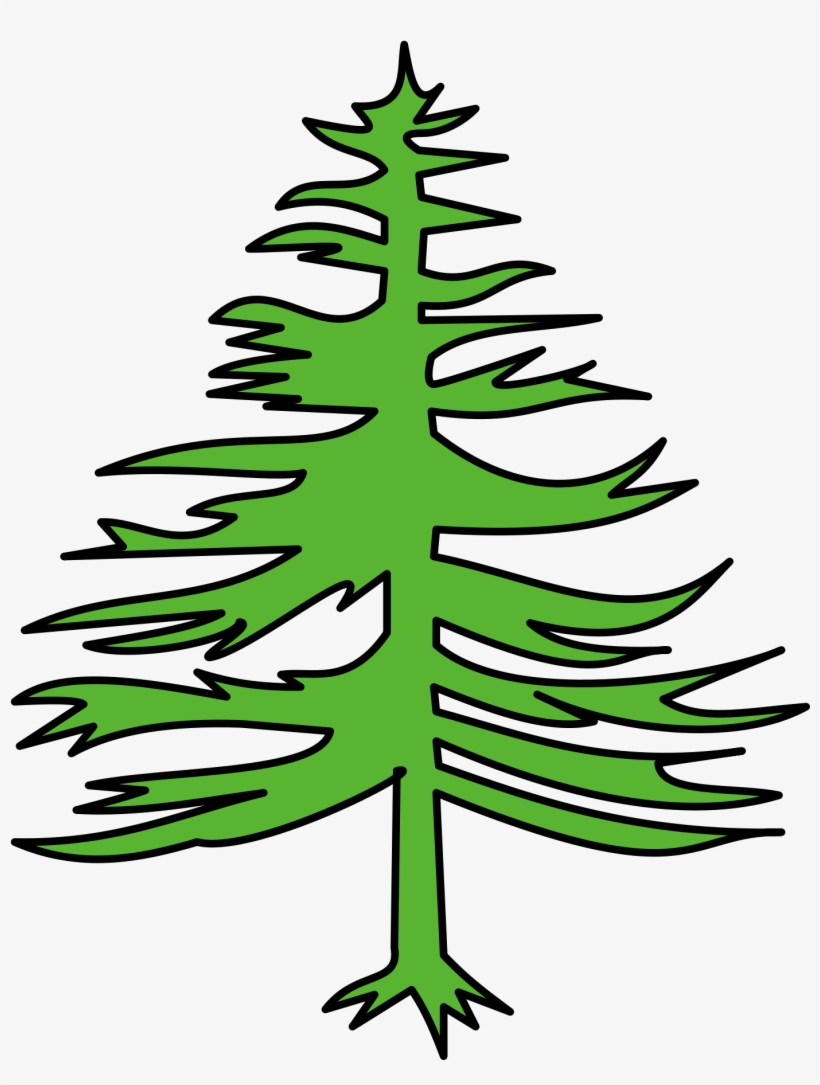 Open - Sapin Svg, transparent png download
