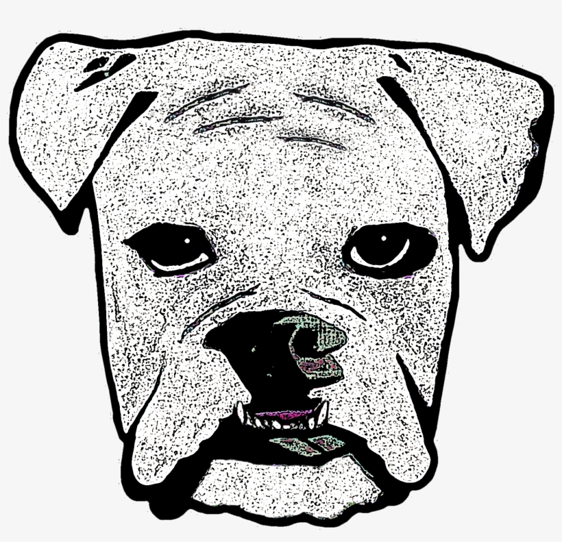 Boxer, transparent png download