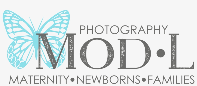 Net-winged Insects, transparent png download