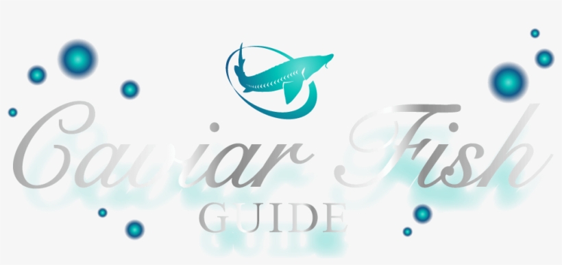 Caviar Fish Guide - Graphic Design, transparent png download