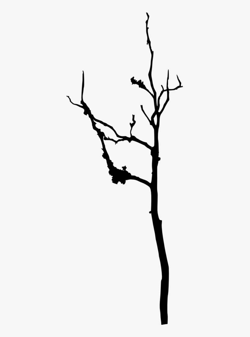 18 Bare Tree Silhouette Vol - Silhouette, transparent png download