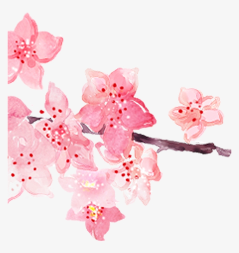 Pink Watercolor Painting Hand Painted Handpainted Blossoms - Watercolor Painting, transparent png download