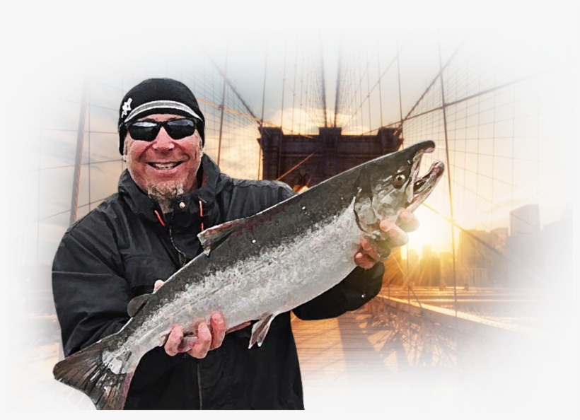 Salfish, transparent png download