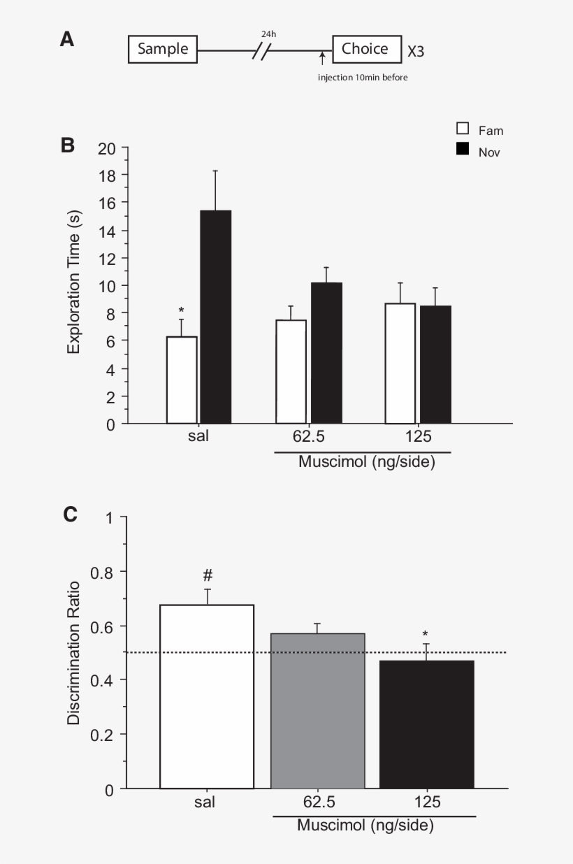 Effect Of Saline Or Muscimol (62 - Diagram, transparent png download
