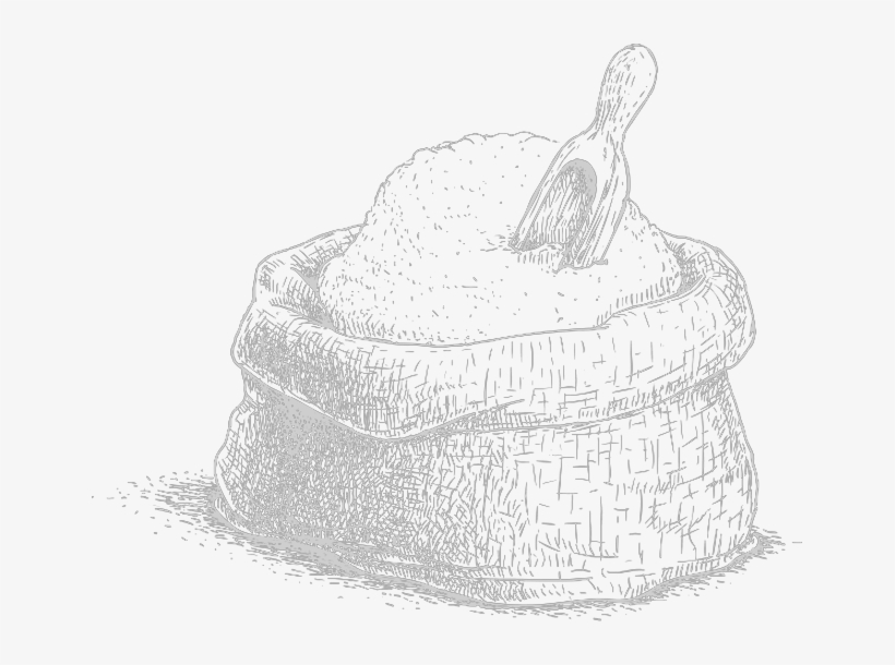Sal - Sketch, transparent png download