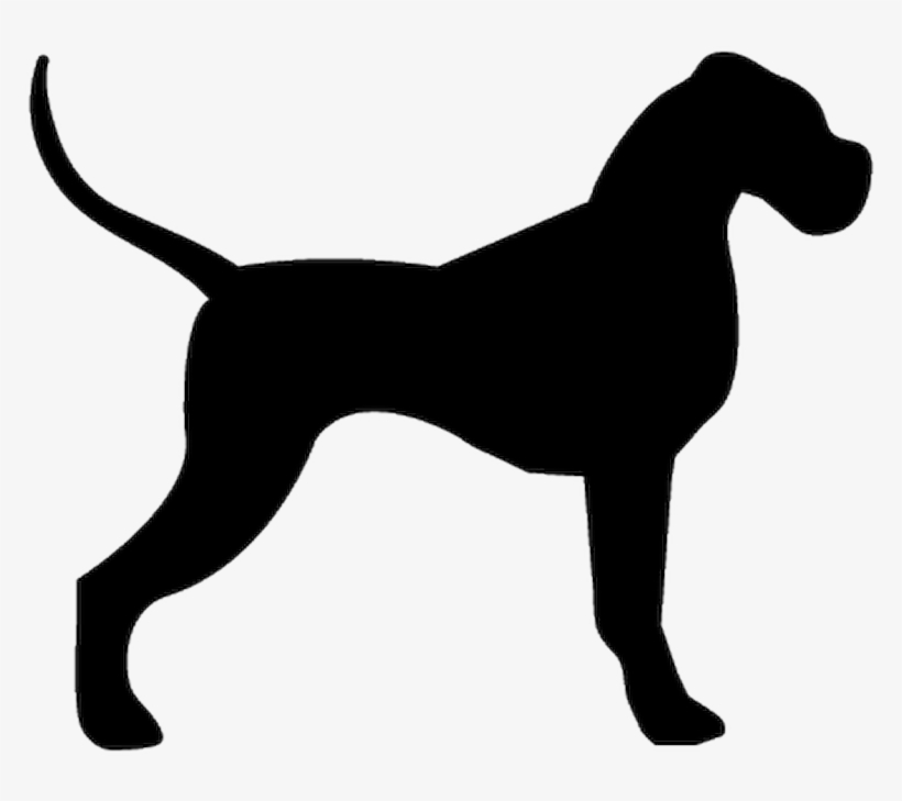 Pintura Para Pet Shop, transparent png download