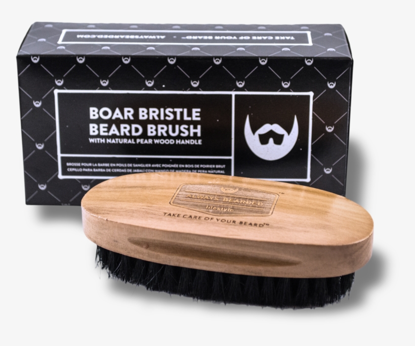 Boar Bristle Beard Brush - Bristle, transparent png download