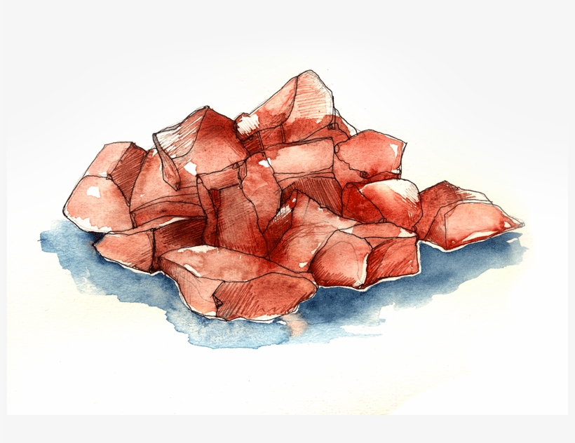 Ingredients - Sketch, transparent png download