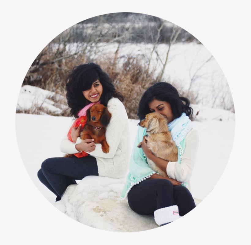 Pigtails And Puppies - Snow, transparent png download