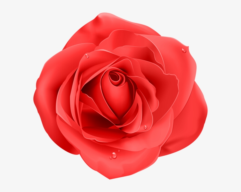 Rose Png - Transparent Png Blue Rose, transparent png download