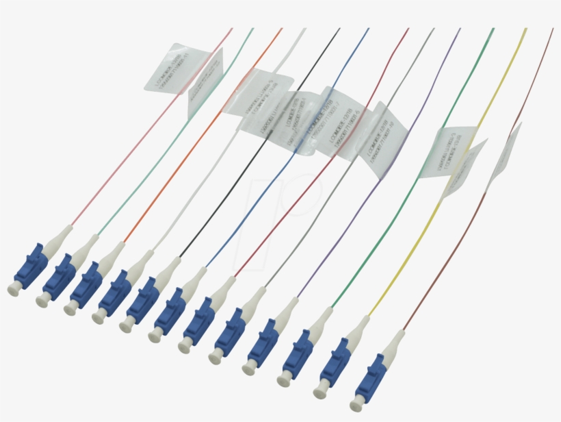 Optical-fibre Pigtails Lc, 12 Pigtails, Lc Os1/os2 - Pigtail Lwl, transparent png download