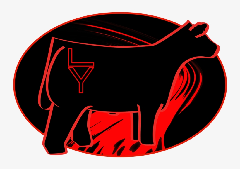 Image - Illustration, transparent png download