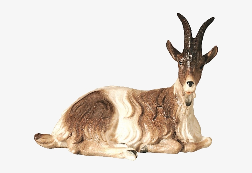 Roe Deer, transparent png download