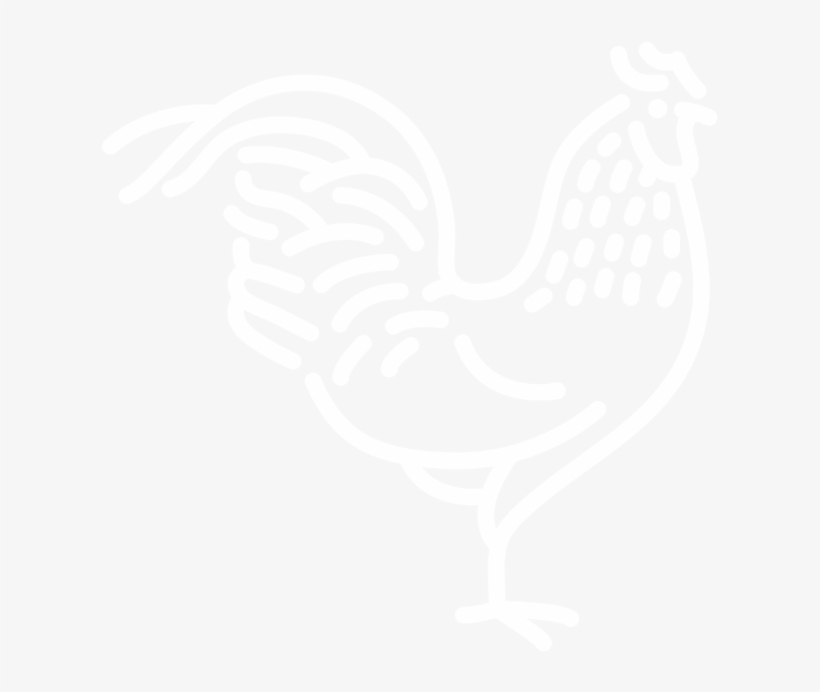 Country - Rooster, transparent png download