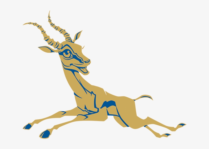 Animal Figure, transparent png download