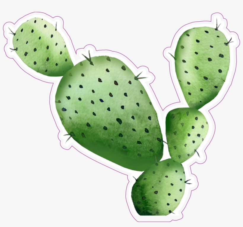 Sharp Watercolor Cactus Sticker - High Resolution Cactus Watercolor, transparent png download
