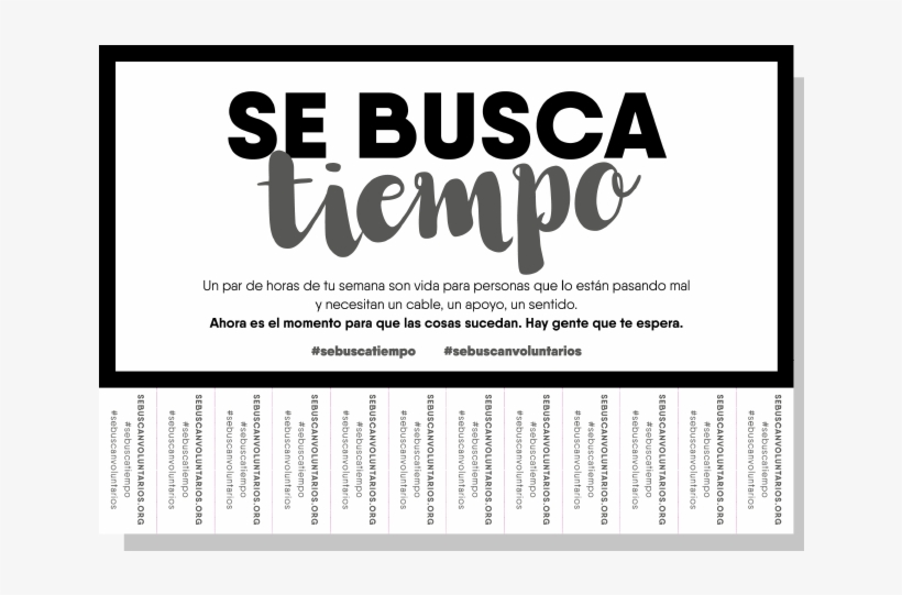 Se Buscan Solidarios - Calligraphy, transparent png download