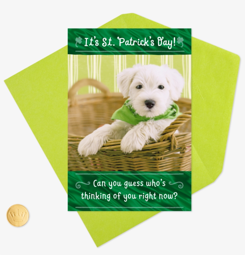 Thinking Of You Puppy Dog St - Companion Dog, transparent png download