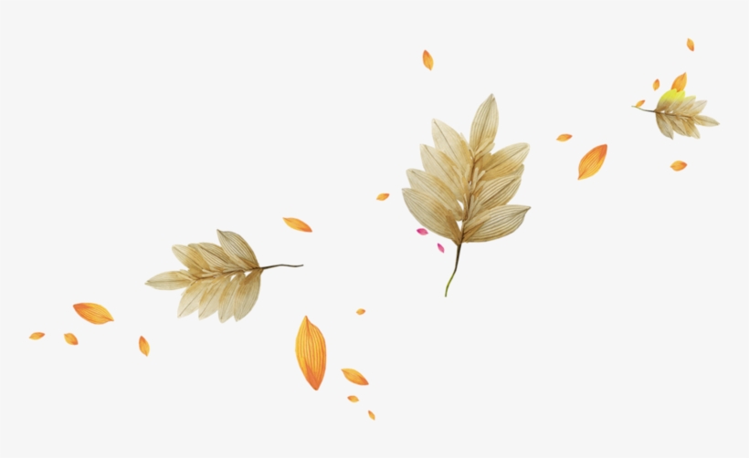 Autumn Light Leaves Leaf Download Hq Png Clipart - Son Bahar Yaprakları Png, transparent png download