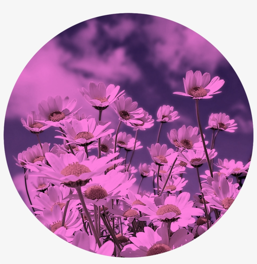 Spring, transparent png download
