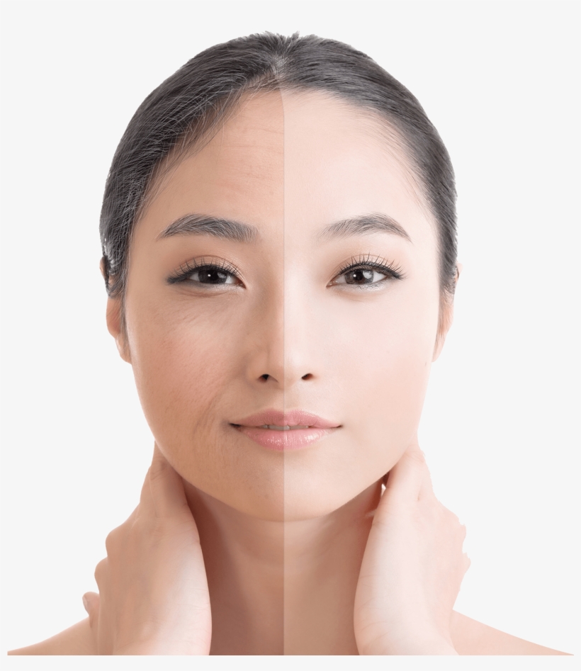 Transparent Face Skin - Face, transparent png download