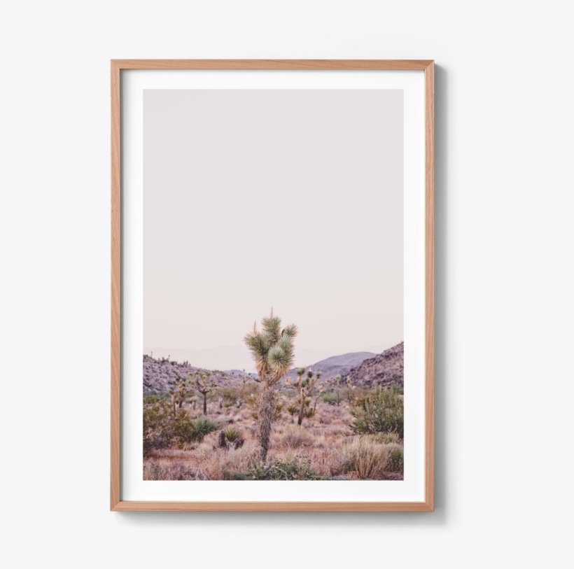 Emily Grace Artwork - Picture Frame, transparent png download