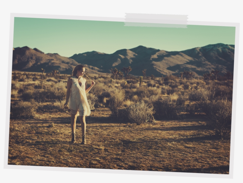 Joshua Tree Hannah - Working Animal, transparent png download