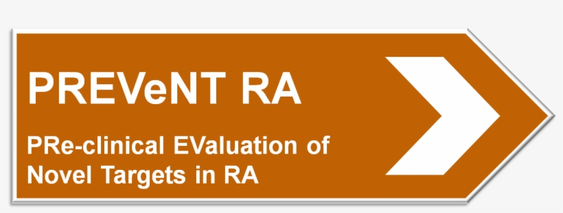 Pre-clinical Evaluation Of Novel Targets In Ra - Graphic Design, transparent png download
