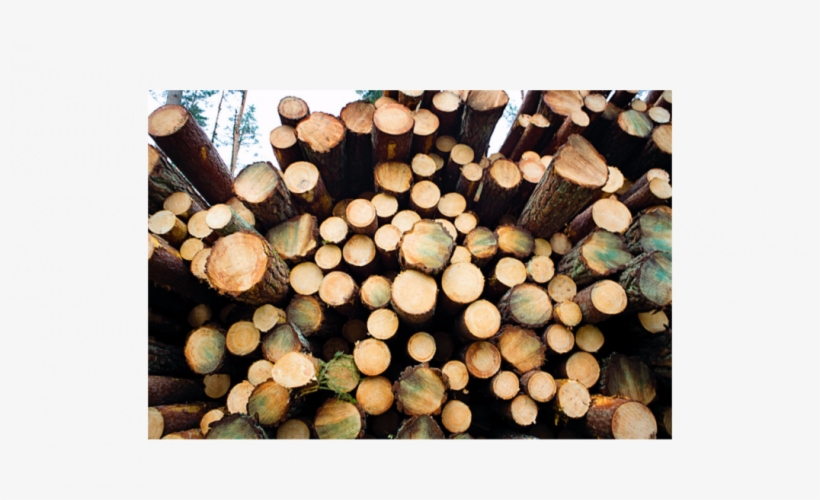 Photo - Upm - Lumber, transparent png download