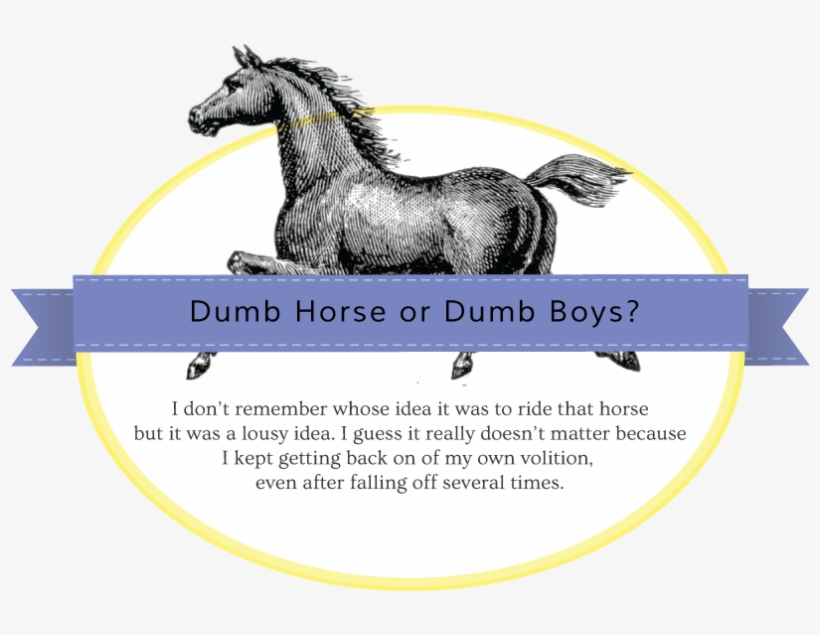Dumb Horse Or Dumb Boys - Mane, transparent png download