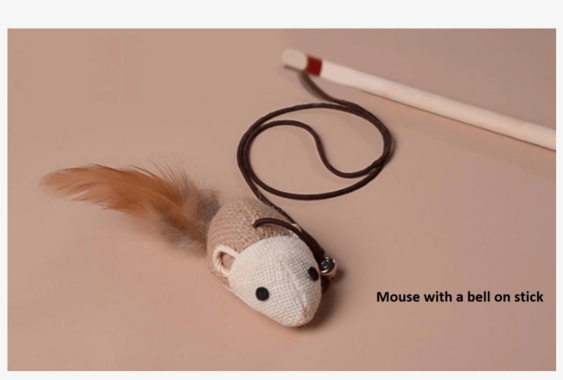 Variety Interactive Pet Toy Cat - Squirrel, transparent png download
