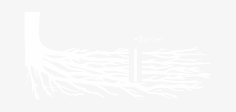 Root Pruning - Graphic Design, transparent png download