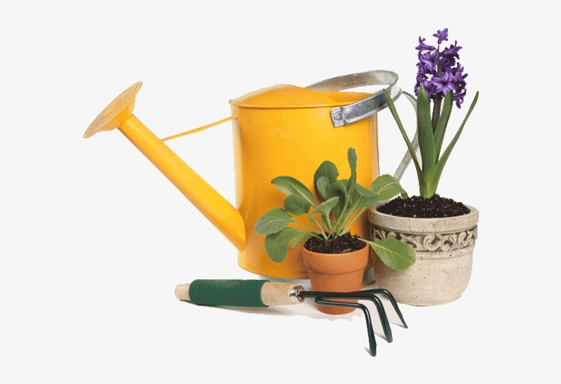 Previous - Ferramentas De Jardinagem Em Png, transparent png download