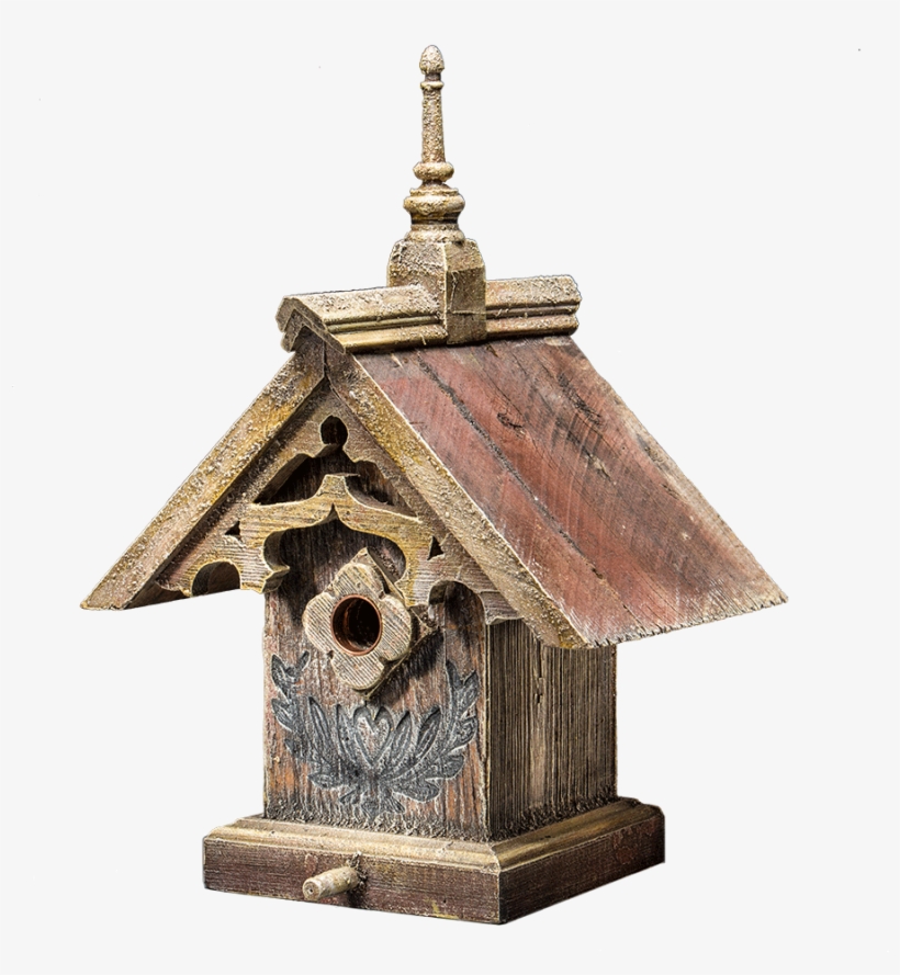 Old World Flycatcher, transparent png download