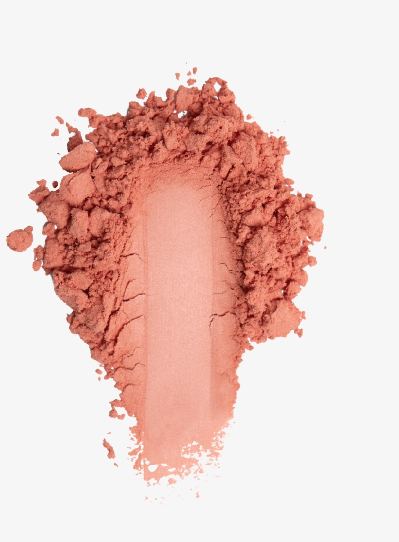 Kitten Baby - Illustration, transparent png download