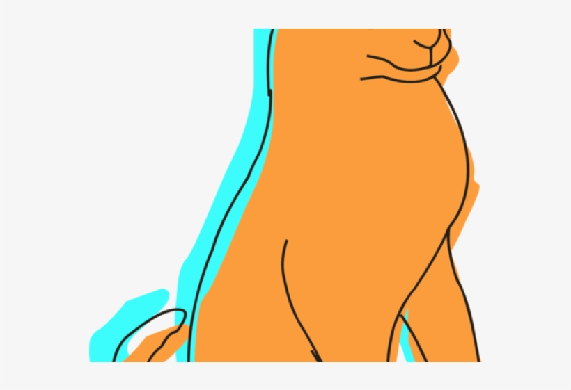 Feline Clipart Kitten Face, transparent png download